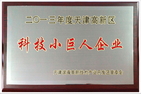 科技小巨人企业